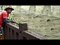 Download Lagu Warga Sibuk Kerja❗Sungai Jadi Penuh Ikan Liar,AKU BAHAGIA #TC-251
