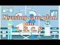 Nursing care plan on L S C S lower segment caesarean section