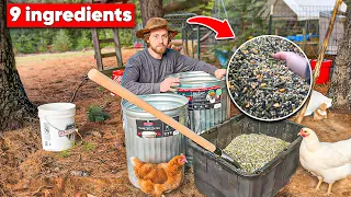 Easy diy chicken feed recipe and cost breakdown