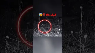 ماذا لو عاد هذا الحيوان من جديد صدمة  ماذا لو عاد هذا الحيوان من جديد صدمة
