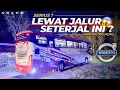 BUS VOLVO LINTAS PEGUNUNGAN EXTREME ‼️ Palu - Toraja Naik Borlindo