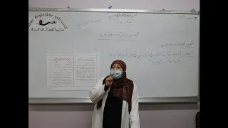 مادة العلوم للصف السابع الأساسي درس العناصر والمركبات والمخاليط 