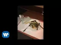 Download Lagu Kodak Black - I Get The Bag (Explicit Remix) [Official Audio]
