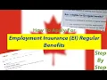 Employment Insurance EI Application Step by step Regular Benefits Canada 2024