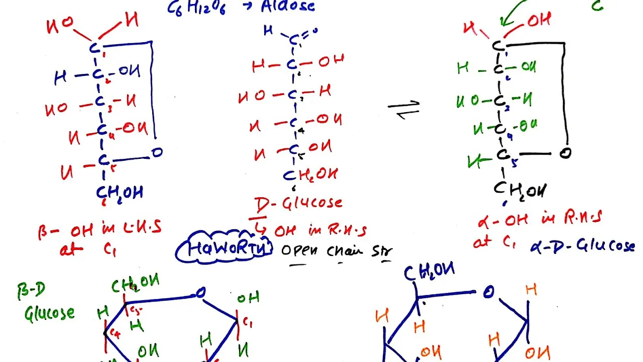Fischer & Haworth Projection Glucose Structure || Class 12 || Biomolecules || CBSE || JEE || NEET