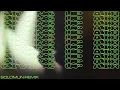 The Temper Trap - Giving Up Air (Solomun Remix) [Official Music Visualiser]