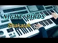 Download Lagu Night Birds / Shakatak ナイト・バーズ（耳コピ）★YAMAHA Electone ELS-02C