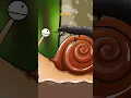 Download Lagu Snails are one of the prey of firefly larvae. The hunting method of firefly larvae is very power