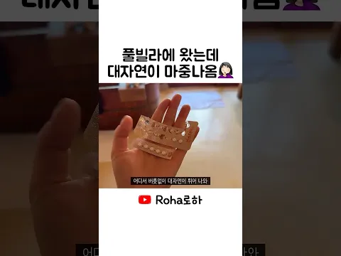 몸: 물놀이를 거절한다.