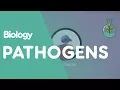 What Are Pathogens Health Biology FuseSchool