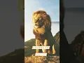 Lagu Is Waqt khamosh Hu Lekin, Lekin Yaad Rakhna Nishan Tay hai Best Lion Attitude Whatsapp Status#shorts