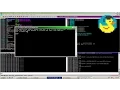 JE JZ JNE JNZ instructions Assembly basics Pt 1 - Malware analysis
