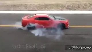 ياعمي اعقل وبطل دندنها