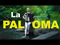 Download Lagu LA PALOMA - ACCORDIONMAN (Instrumentale muziek)