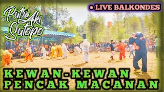 Download KEWAN-KEWAN PENCAK MACANAN Putra Rimba Aki Sutopo | LIVE Balkondes Wringinputih,Borobudur,Magelang MP3