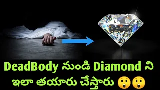  unknown and interesting facts in telugu amazing facts in telugu