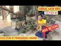 Download Lagu DI OBRAL LOSS ‼️JUAL CEPAT BOSKU📞0813-5873-7604 @JeckpaeyBonsai91 