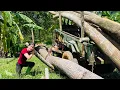 Download Lagu Agricultural vehicle transporting timber Hello everyone, let's go logging together. Thank you.