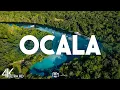 Top 10 Best Things to Do in Ocala Florida - Travel Guide 2025