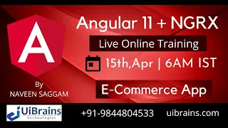 Introduction to Angular 11 Project Based Training UiBrains NAVEEN SAGGAM