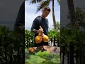 Download Lagu Exotic Sri Lankan Shake 🥭🥥🍊 | ASMRshake #shorts