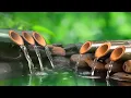 Relaxing Music || Spa Music, Massage, Yoga, Sleep Music, Running Water, Stress Relief Music, Zen