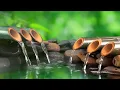 Download Lagu Relaxing Music || Spa Music, Massage, Yoga, Sleep Music, Running Water, Stress Relief Music, Zen