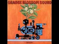 Orange Blossom Special