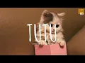 Download Lagu Tutu (remix cute) - Alma Zarza x DJ Nansuya  // (Vietsub + Lyric) Tik Tok Song