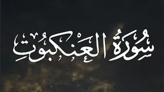 سورة العنكبوت كاملة القارئ عبد الرحمن مسعد Surat Al Ankabut Abdul Rahman Massad  سورة العنكبوت كاملة القارئ عبد الرحمن مسعد Surat Al Ankabut Abdul Rahman Massad