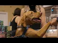 Aeslin Pup Hub Pet-friendly Store SEE Chicago