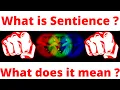 what is sentience what does that even mean