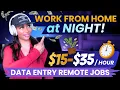 Work From Home 2026 Data Entry Remote Jobs at Night Chat Support Jobs