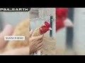 Aseel murghaiy aggaye No 1 Sava No 2 Java No 3 Chenna Aseel Birds Revealed