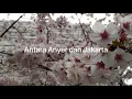 Download Lagu Antara Anyer dan Jakarta (instrumental)