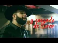 Carin Leon - QUISIERA SABER [Te Quise Olvidar] (Lyric Video)