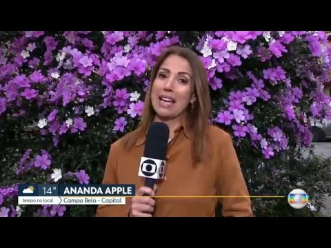 COMO FAZER ARRANJO DE ORQUÍDEAS COM MATERIAIS DE CASA COMO CUIDAR DE ORQUÍDEAS DO JEITO CERTO