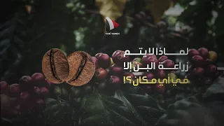 البن   ولماذا اليمن  دندنها