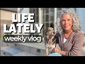 Lagu A Peek Into My Life - Weekly Vlog