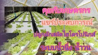 LP-EP27 คุยกับเกษตรกร แชร์ประสบการณ์ ปลูกผักสลัด ไฮโดรโปนิกส์ น้ำนิ่ง น้ำวน