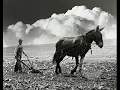 John Hammond - Get Behind The Mule