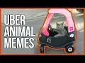 HILARIOUS UBER ANIMAL MEMES