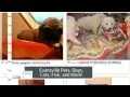 Craigslist Evansville Local Cars Trucks Free Stuff Personals Boats Electronics Homes