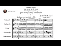 Josef Suk - Serenade for Strings Op 6 1892