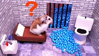 🐹Hamster escapes the awesome maze for Pets in real life 🐹 in Hamster stories Part 6