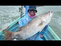 Download Lagu MONSTER BARRAMUNDI CAUGHT ON RAPALA THE JERK SOFT BAIT