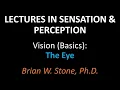 Sensation and Perception - Vision Basics Pt1