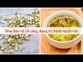 Lagu Hoa hòe và 10 công dụng trị bệnh tuyệt vời
