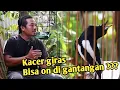 Cara buat Kacer giras on di gantangan by Chan kasep