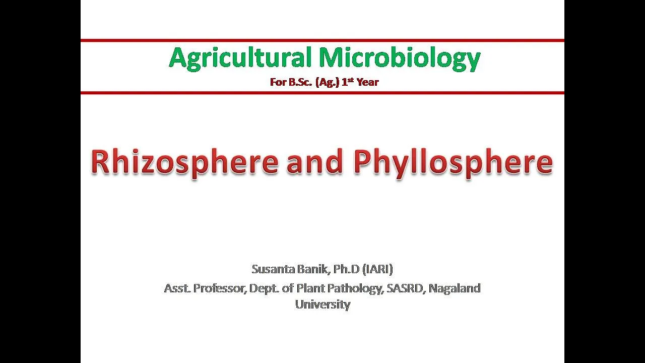 Rhizosphere and Phyllosphere | Introductory concepts and differences | Rhizoplane and Phylloplane